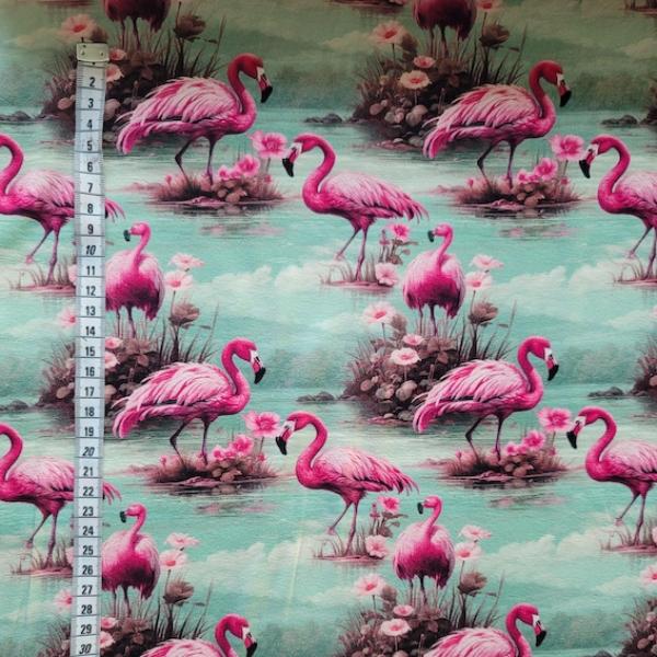 Jersey Baumwolle Pink Flamingo von Stenzo | Meterware